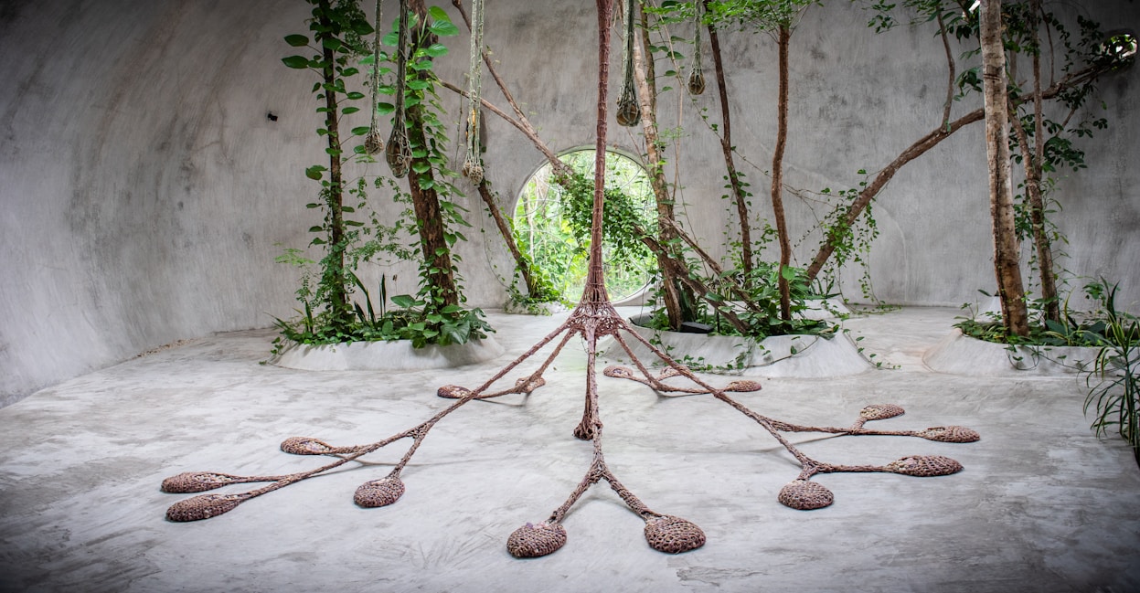 Espaço interior com vegetação e estrutura escultural